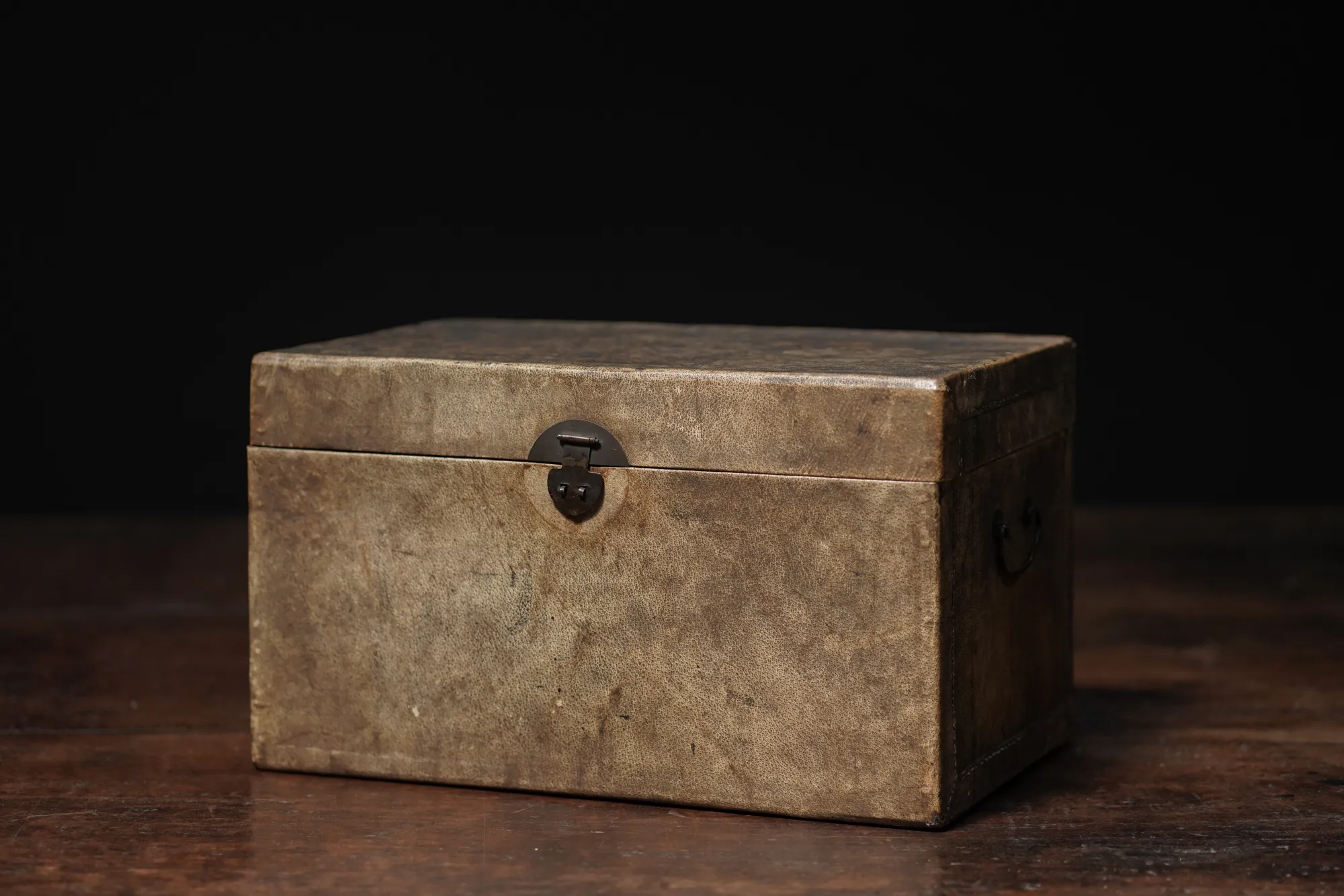Patinated Parchment Trunk 