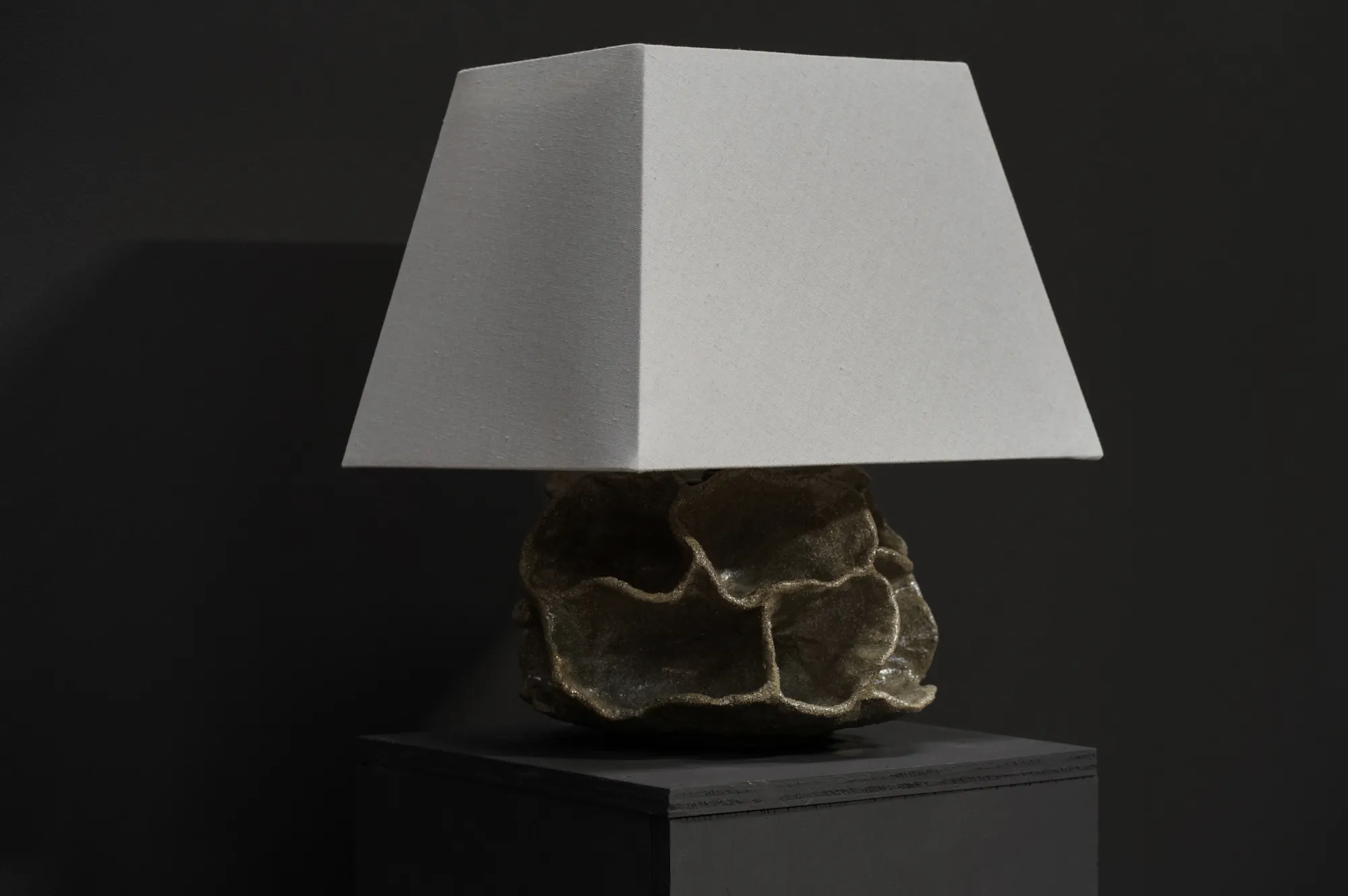Porifera Lamp, Lichen