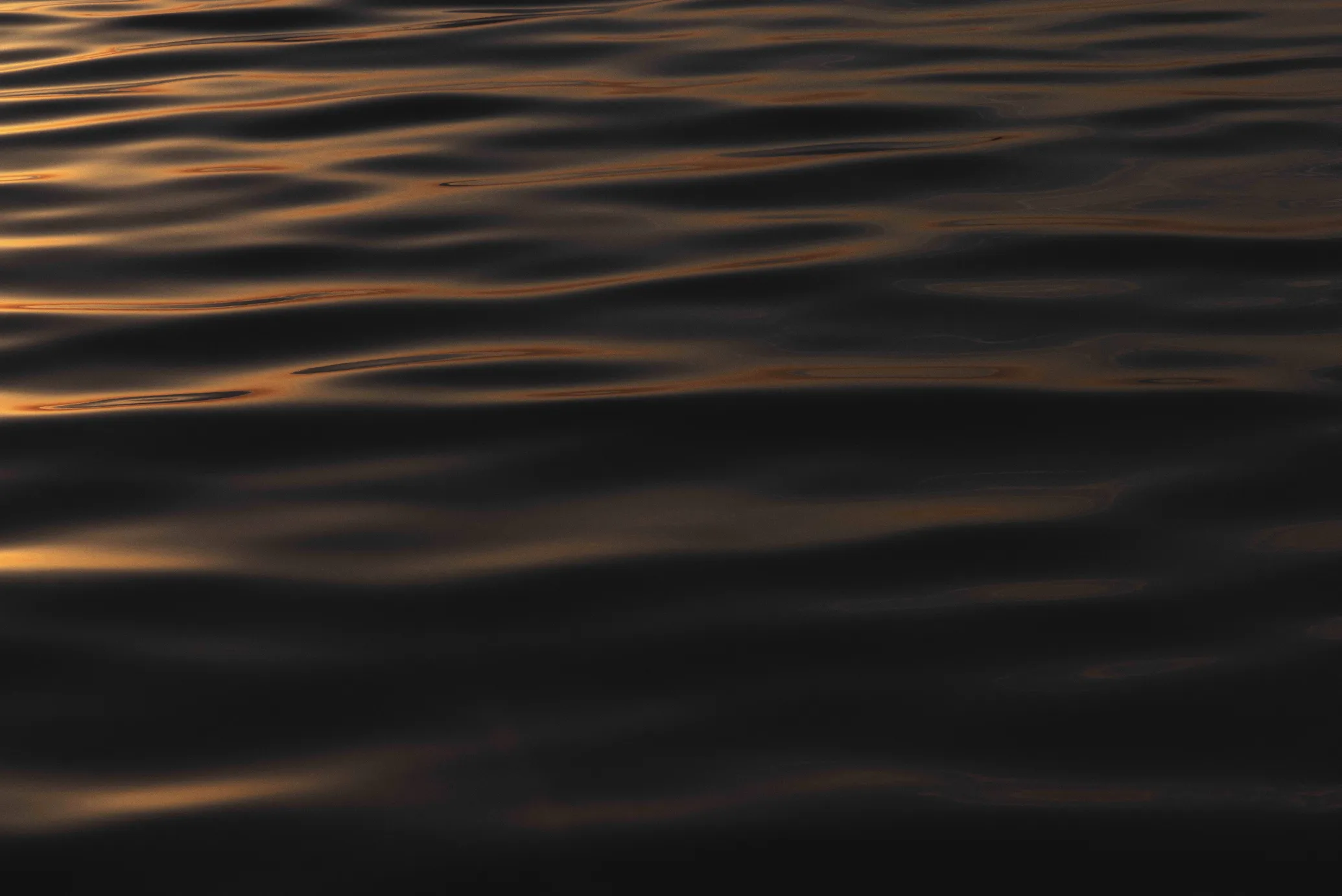 "Golden Hour 984" By Nio Vardan