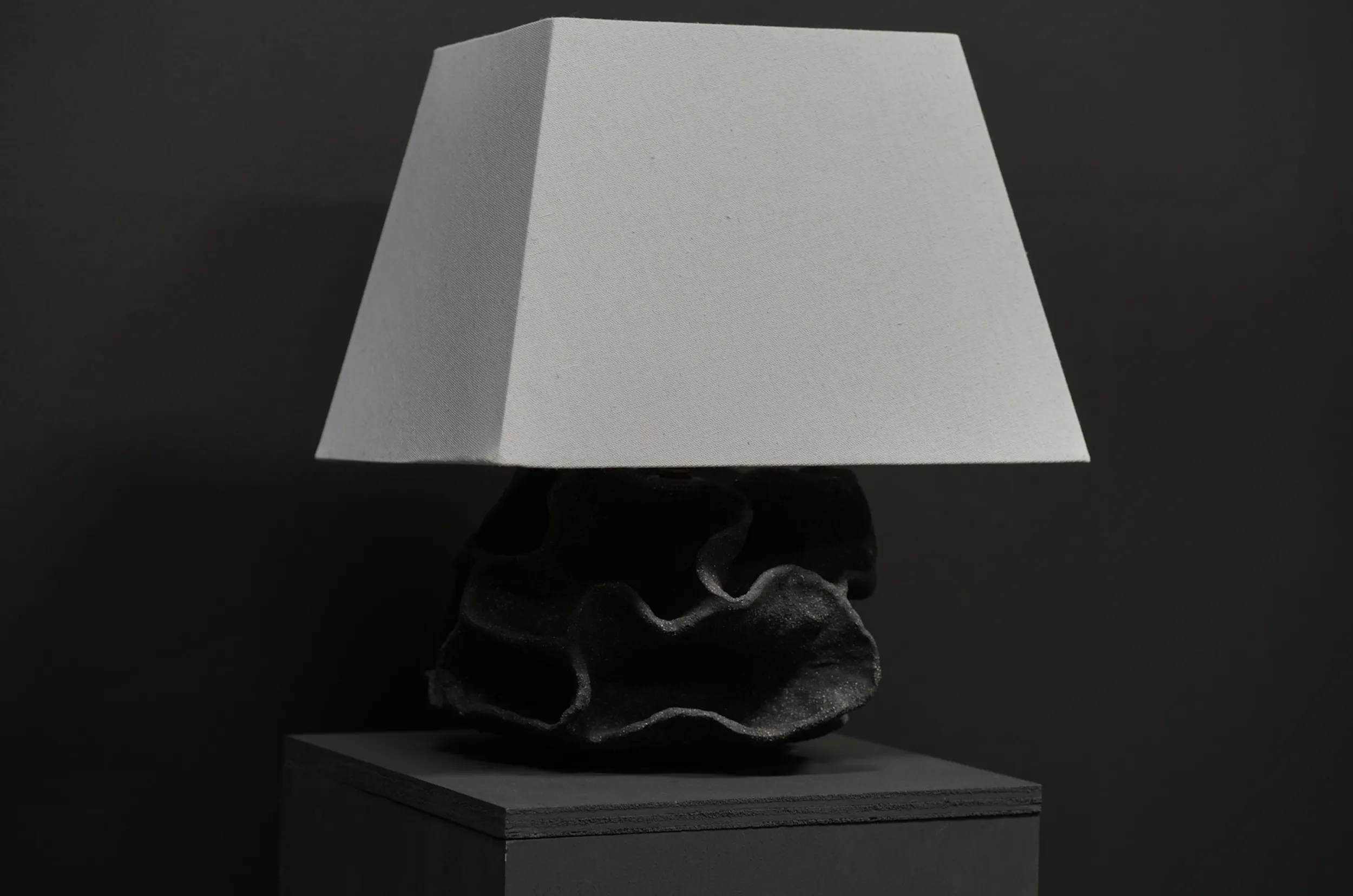 Porifera Lamp, Raw