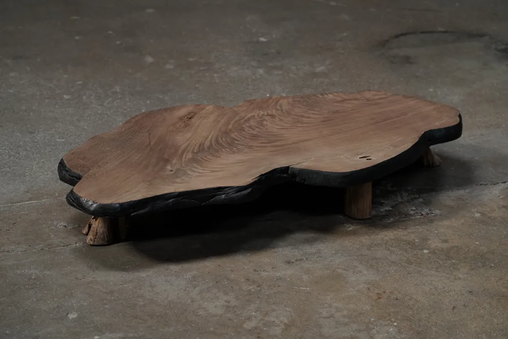 Petite Low Organic Shaped Coffee Table