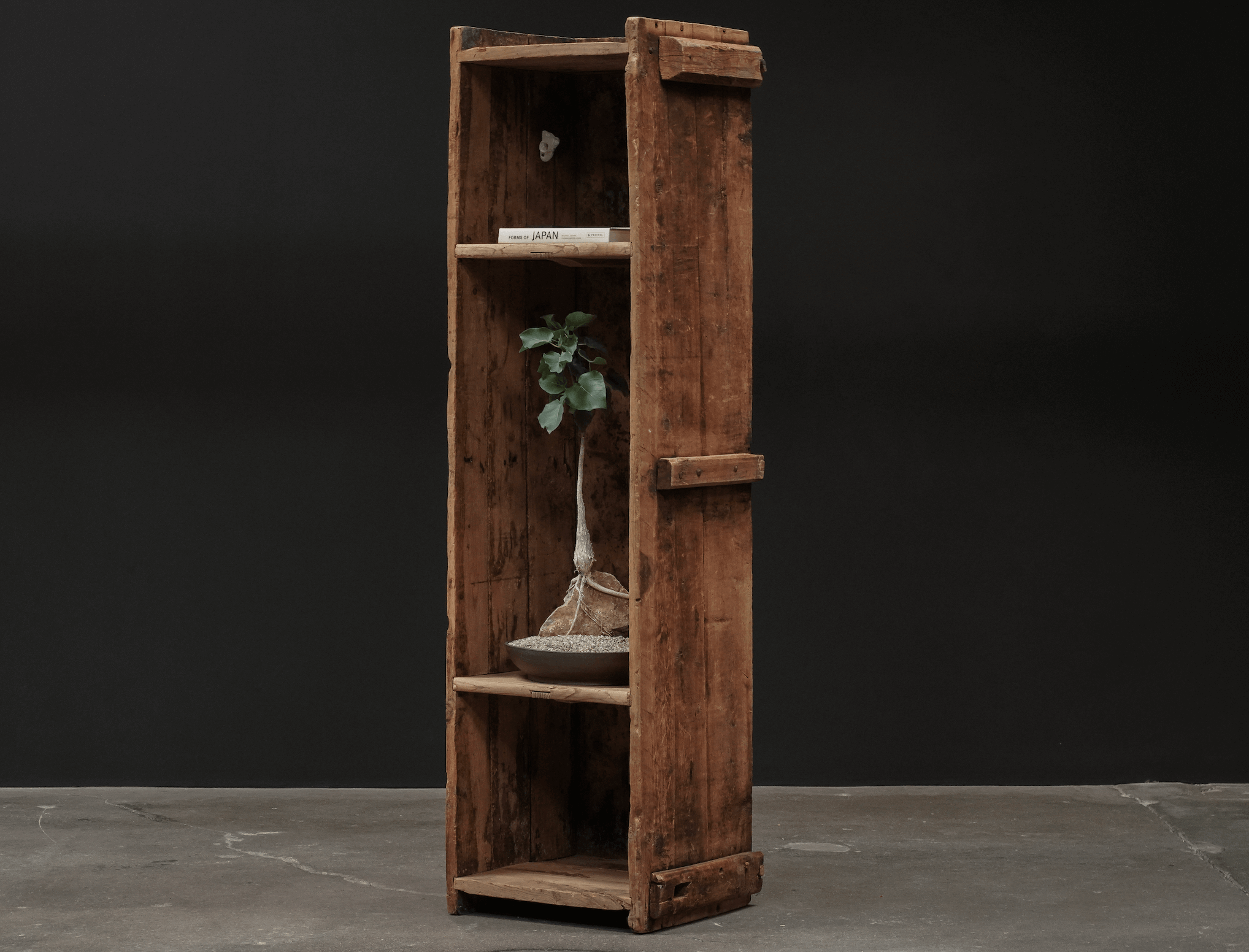 18th Century Cabinet, Savois - Larch wood