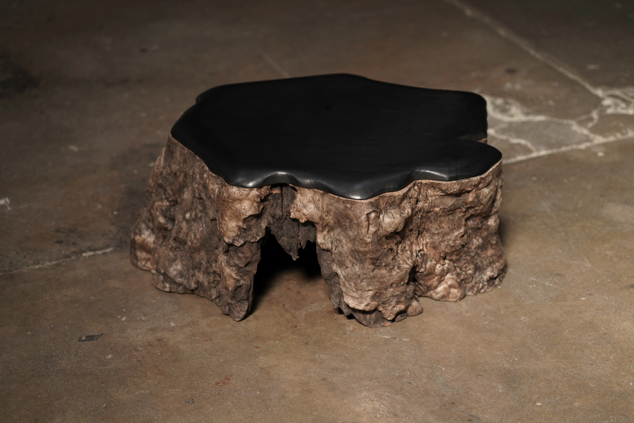 Cashew Trunk Table 